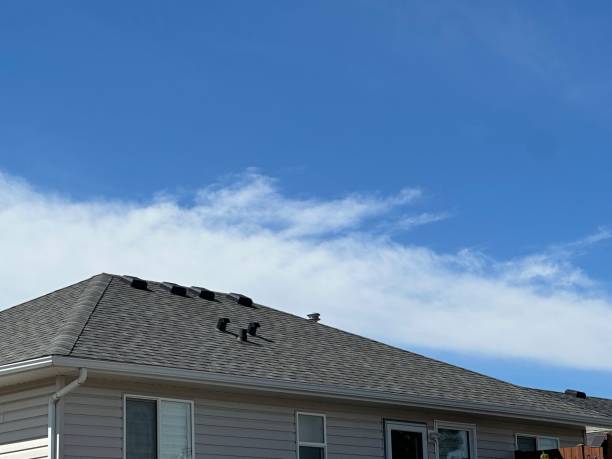 Best Roof Ventilation Installation  in Valley Stream, NY